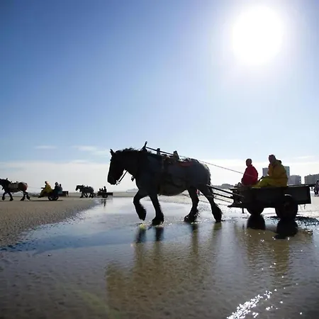 Couple Near Beaches, Cleaning Included Lägenhet Nieuwpoort